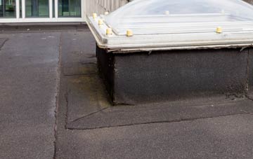 disadvantages of Hoyland Common flat roofs
