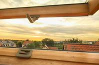 rated Hoyland Common roof window companies